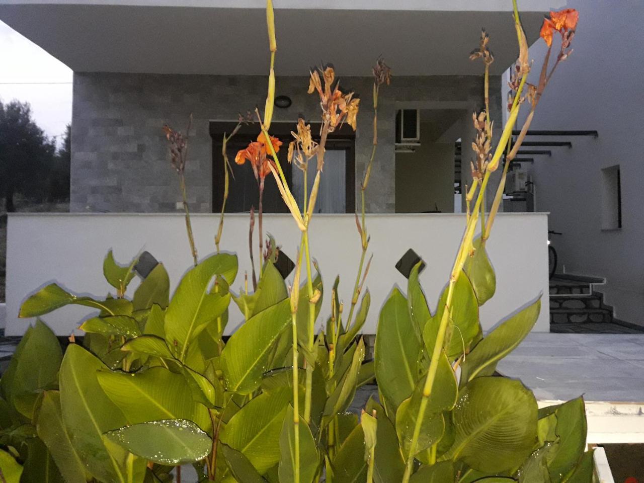 Holiday home Oliva *
