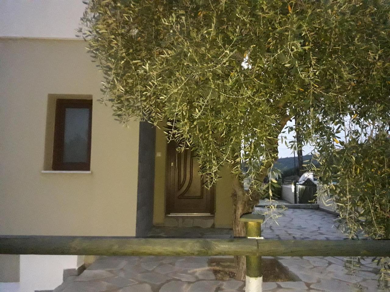 Oliva